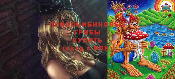 экстази Бородино