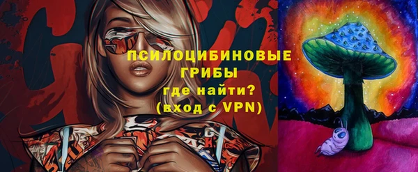 экстази Бородино